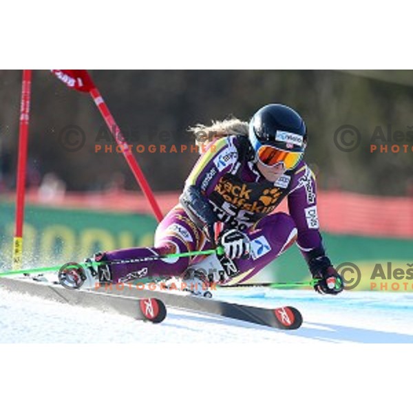 Mowinckel in first run of 51. Golden Fox- Zlata Lisica FIS World Cup Giant Slalom in Maribor, Slovenia on February 21, 2015