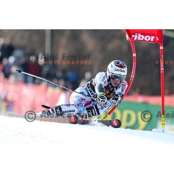 Adeline Baud (FRA) in first run of 51. Golden Fox- Zlata Lisica FIS World Cup Giant Slalom in Maribor, Slovenia on February 21, 2015