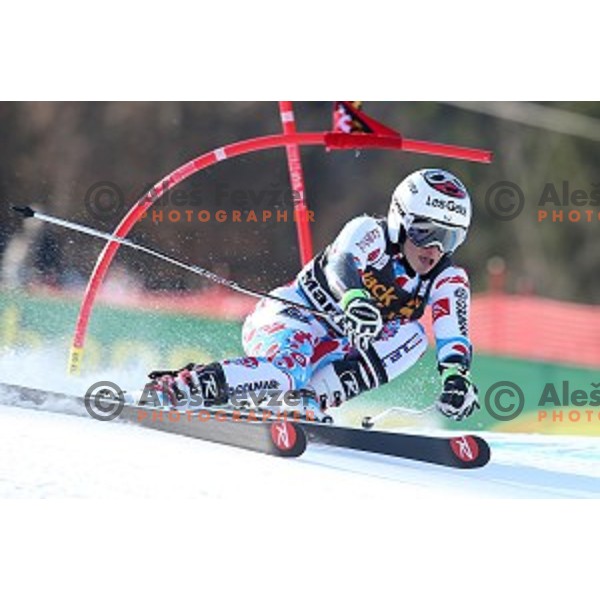 Adeline Baud (FRA) in first run of 51. Golden Fox- Zlata Lisica FIS World Cup Giant Slalom in Maribor, Slovenia on February 21, 2015