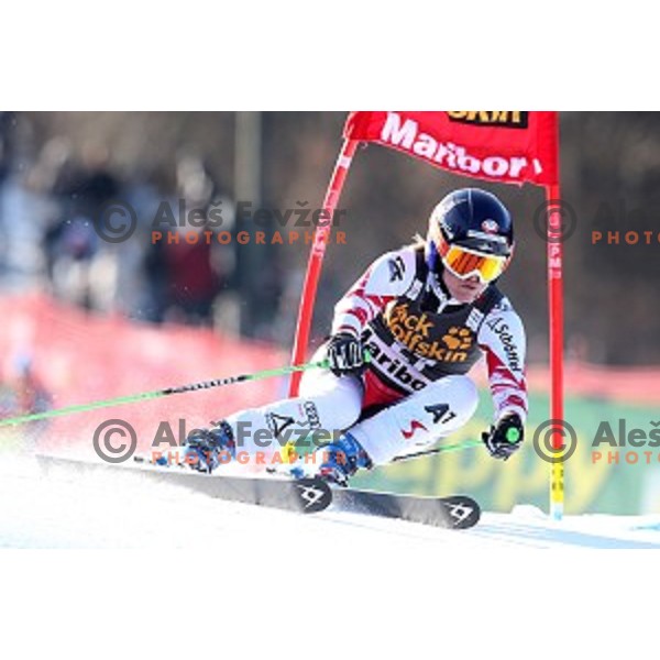 Andrera Fischbacher (AUT) in first run of 51. Golden Fox- Zlata Lisica FIS World Cup Giant Slalom in Maribor, Slovenia on February 21, 2015