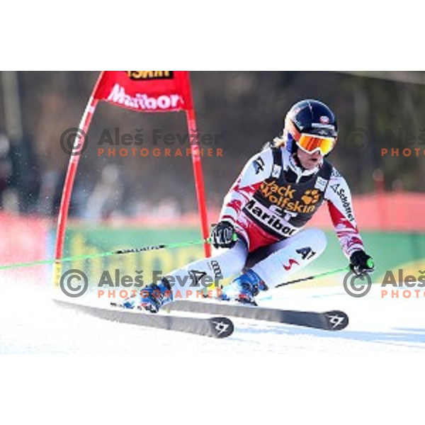 Andrera Fischbacher (AUT) in first run of 51. Golden Fox- Zlata Lisica FIS World Cup Giant Slalom in Maribor, Slovenia on February 21, 2015