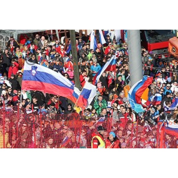 first run of 51. Golden Fox- Zlata Lisica FIS World Cup Giant Slalom in Maribor, Slovenia on February 21, 2015