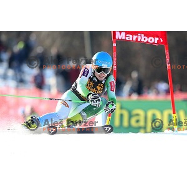Ana Drev in first run of 51. Golden Fox- Zlata Lisica FIS World Cup Giant Slalom in Maribor, Slovenia on February 21, 2015