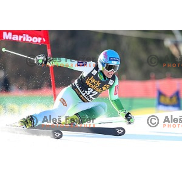 Katarina Lavtar (SLO) in first run of 51. Golden Fox- Zlata Lisica FIS World Cup Giant Slalom in Maribor, Slovenia on February 21, 2015