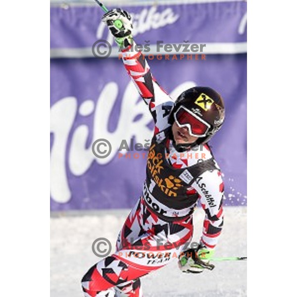 Anna Fenninger (AUT) winner of 51. Golden Fox- Zlata Lisica FIS World Cup Giant Slalom in Maribor, Slovenia on February 21, 2015