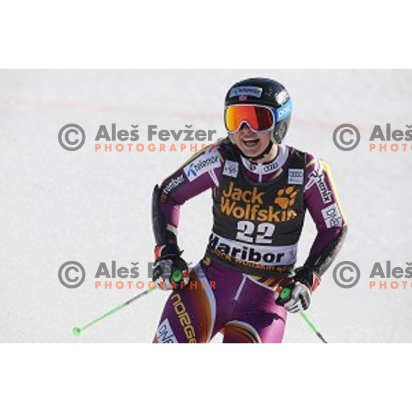 Mowinckel (NOR)in second run of 51. Golden Fox- Zlata Lisica FIS World Cup Giant Slalom in Maribor, Slovenia on February 21, 2015