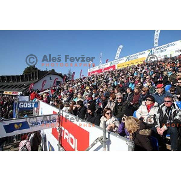 51. Golden Fox- Zlata Lisica FIS World Cup Giant Slalom in Maribor, Slovenia on February 21, 2015