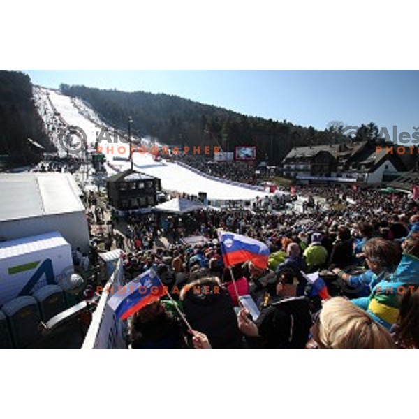 51. Golden Fox- Zlata Lisica FIS World Cup Giant Slalom in Maribor, Slovenia on February 21, 2015