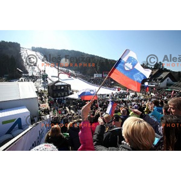51. Golden Fox- Zlata Lisica FIS World Cup Giant Slalom in Maribor, Slovenia on February 21, 2015