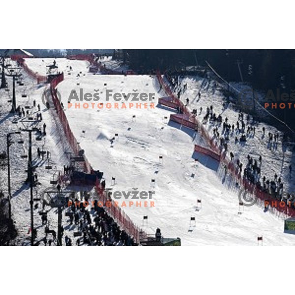 51. Golden Fox- Zlata Lisica FIS World Cup Giant Slalom in Maribor, Slovenia on February 21, 2015