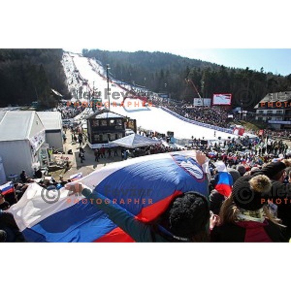 51. Golden Fox- Zlata Lisica FIS World Cup Giant Slalom in Maribor, Slovenia on February 21, 2015