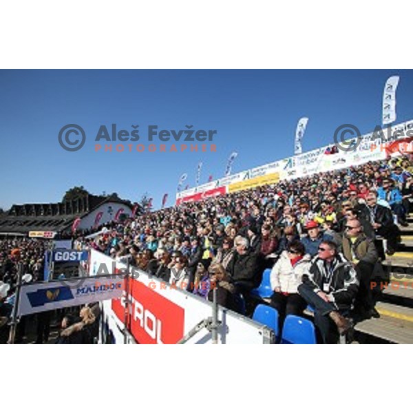 51. Golden Fox- Zlata Lisica FIS World Cup Giant Slalom in Maribor, Slovenia on February 21, 2015