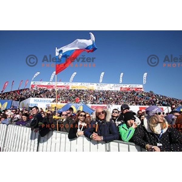 51. Golden Fox- Zlata Lisica FIS World Cup Giant Slalom in Maribor, Slovenia on February 21, 2015