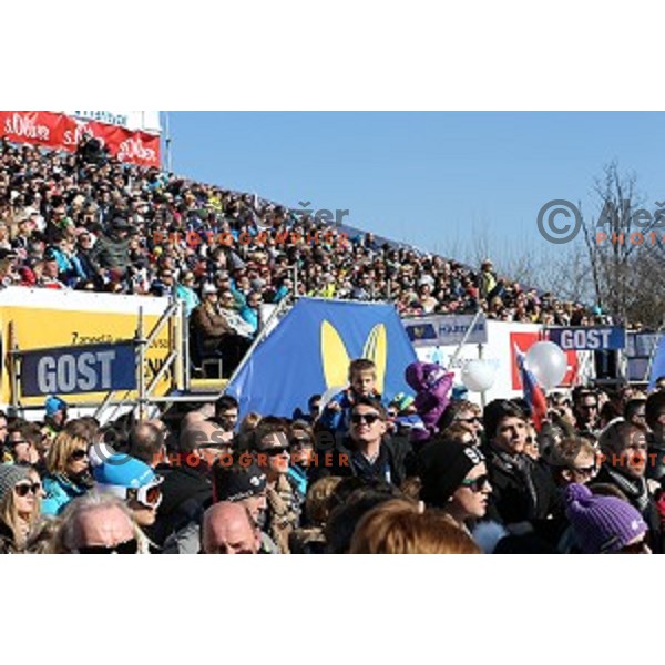 51. Golden Fox- Zlata Lisica FIS World Cup Giant Slalom in Maribor, Slovenia on February 21, 2015