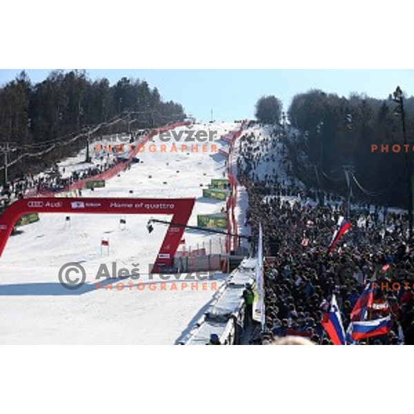51. Golden Fox- Zlata Lisica FIS World Cup Giant Slalom in Maribor, Slovenia on February 21, 2015