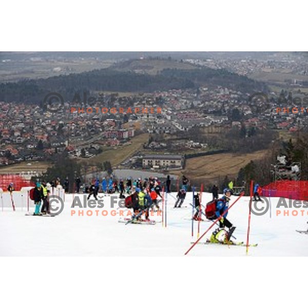 Course inspection before 51. Golden Fox- Zlata Lisica FIS World Cup Slalom in Maribor, Slovenia on February 22, 2015