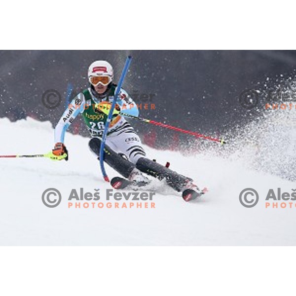 first run of 51. Golden Fox- Zlata Lisica FIS World Cup Slalom in Maribor, Slovenia on February 22, 2015