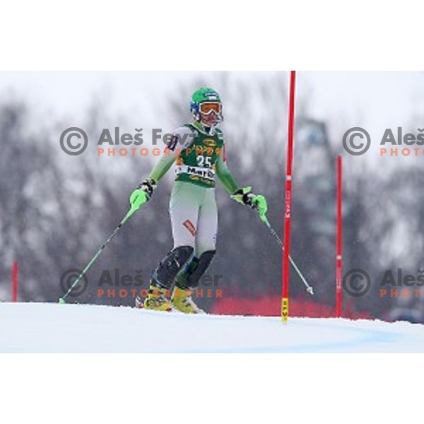 Katarina Lavtar (SLO) during first run of 51. Golden Fox- Zlata Lisica FIS World Cup Slalom in Maribor, Slovenia on February 22, 2015