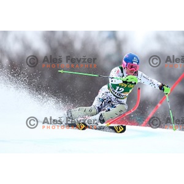 first run of 51. Golden Fox- Zlata Lisica FIS World Cup Slalom in Maribor, Slovenia on February 22, 2015