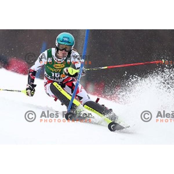 first run of 51. Golden Fox- Zlata Lisica FIS World Cup Slalom in Maribor, Slovenia on February 22, 2015