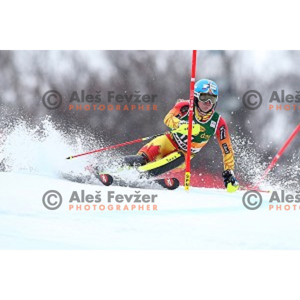 first run of 51. Golden Fox- Zlata Lisica FIS World Cup Slalom in Maribor, Slovenia on February 22, 2015
