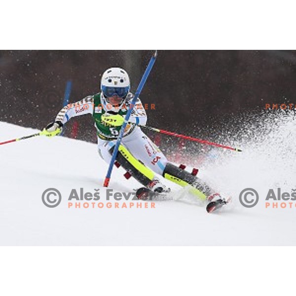 first run of 51. Golden Fox- Zlata Lisica FIS World Cup Slalom in Maribor, Slovenia on February 22, 2015