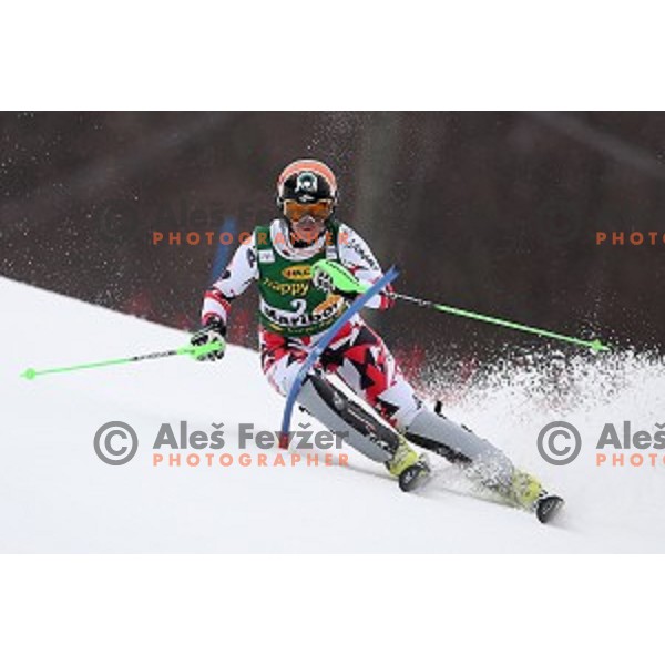 first run of 51. Golden Fox- Zlata Lisica FIS World Cup Slalom in Maribor, Slovenia on February 22, 2015