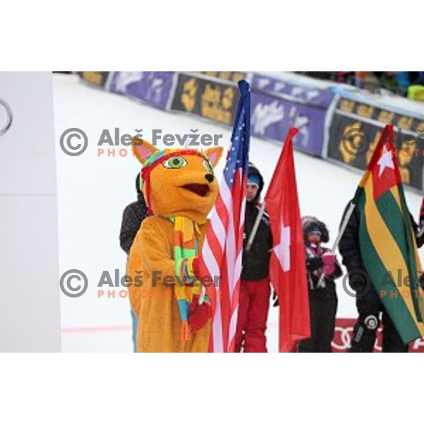 51. Golden Fox- Zlata Lisica FIS World Cup Slalom in Maribor, Slovenia on February 22, 2015