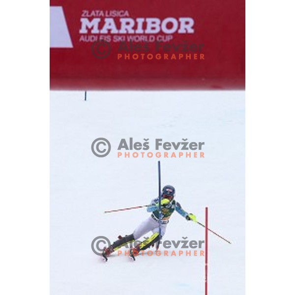 Mikaela Shiffrin (USA), winner of 51. Golden Fox- Zlata Lisica FIS World Cup Slalom in Maribor, Slovenia on February 22, 2015