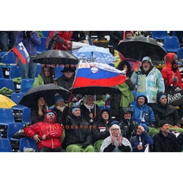 51. Golden Fox- Zlata Lisica FIS World Cup Slalom in Maribor, Slovenia on February 22, 2015