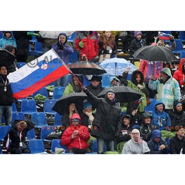 51. Golden Fox- Zlata Lisica FIS World Cup Slalom in Maribor, Slovenia on February 22, 2015