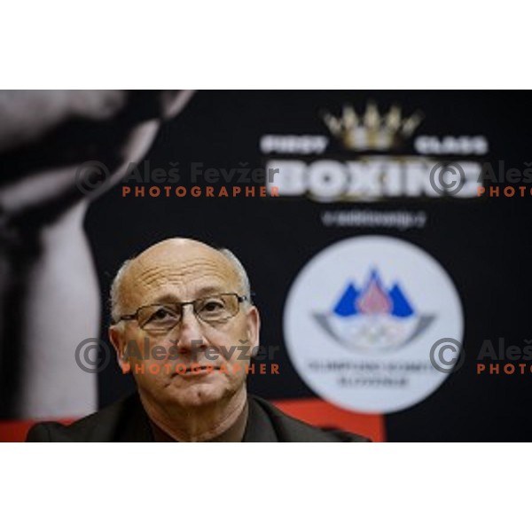 Borden Gabrovec at the press conference for the announcement of the boxing match with Sasha Yengoyan, Petrol building,Ljubljana, Slovenia, 24.02.2015