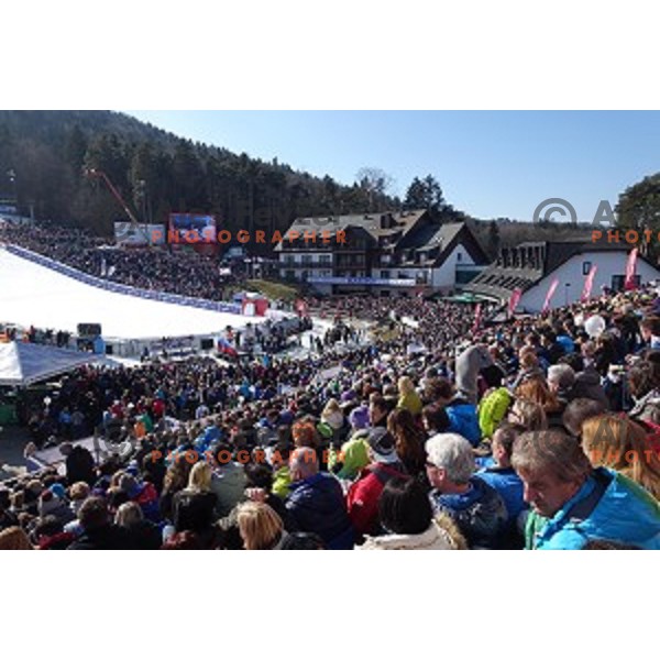 51. Golden Fox- Zlata Lisica FIS World Cup Giant Slalom in Maribor, Slovenia on February 21, 2015