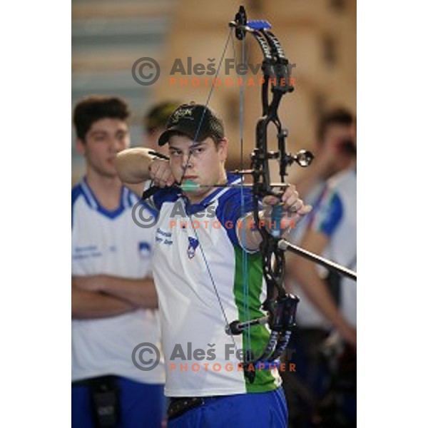 Stas Modic of Slovenia junior team- gold medalist at 15. European Archery Indoor Championships in Bonifika Hall, Koper, Slovenia on February 28, 2015