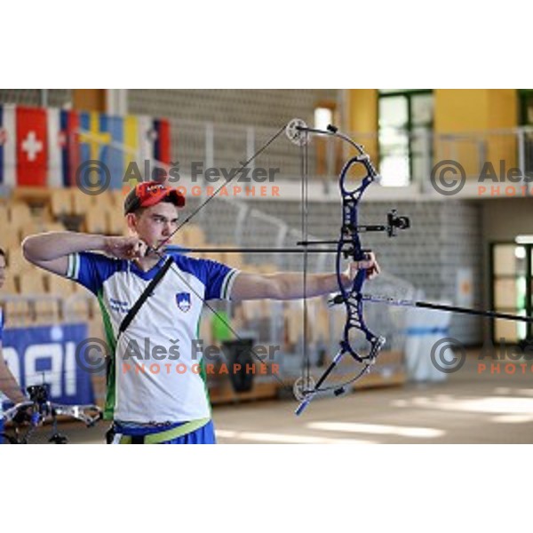 Luka Stosevski of Slovenia junior team- gold medalist at 15. European Archery Indoor Championships in Bonifika Hall, Koper, Slovenia on February 28, 2015