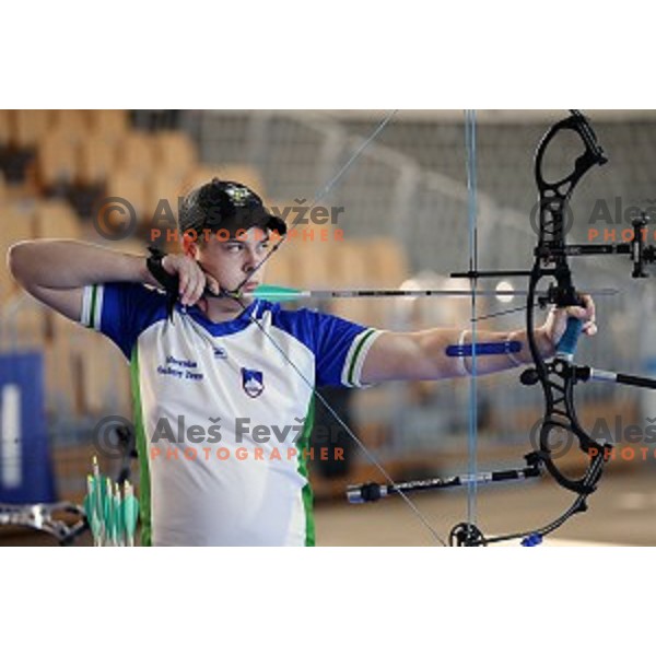 Stas Modic of Slovenia junior team- gold medalist at 15. European Archery Indoor Championships in Bonifika Hall, Koper, Slovenia on February 28, 2015