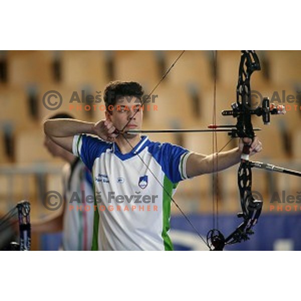 Arne Cerne of Slovenia junior team- gold medalist at 15. European Archery Indoor Championships in Bonifika Hall, Koper, Slovenia on February 28, 2015