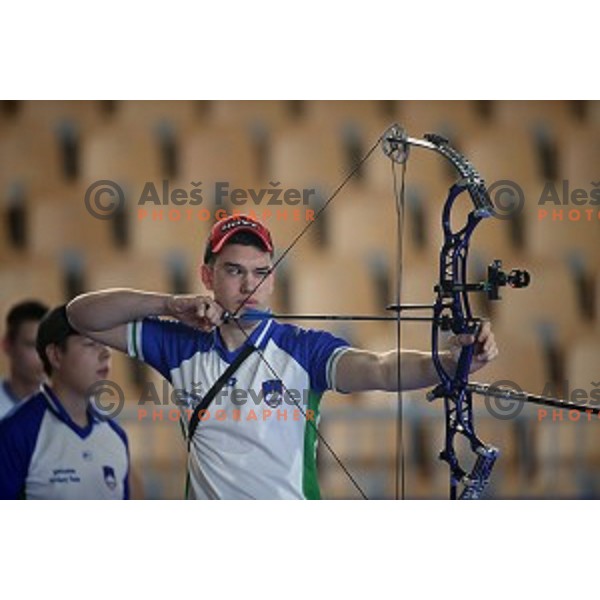 Luka Stosevski of Slovenia junior team- gold medalist at 15. European Archery Indoor Championships in Bonifika Hall, Koper, Slovenia on February 28, 2015