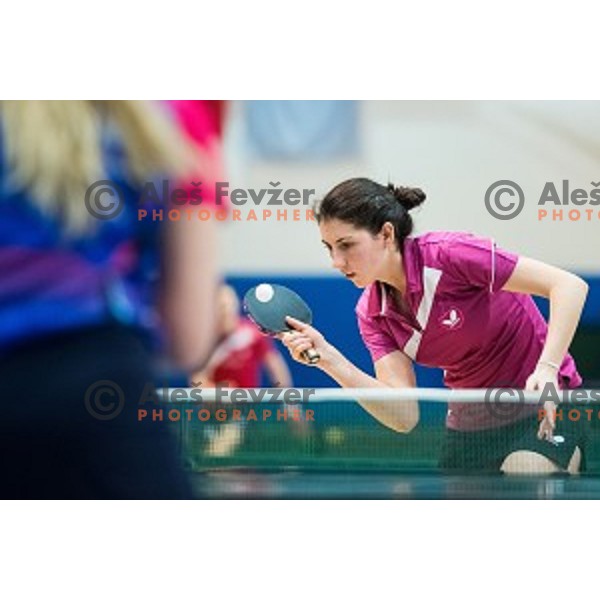 Alex Galic in action during tabel tennis match of National Championship 2015, Jesenice, Slovenia, on January 31, 2015