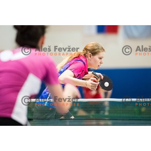 in action during tabel tennis match of National Championship 2015, Jesenice, Slovenia, on January 31, 2015