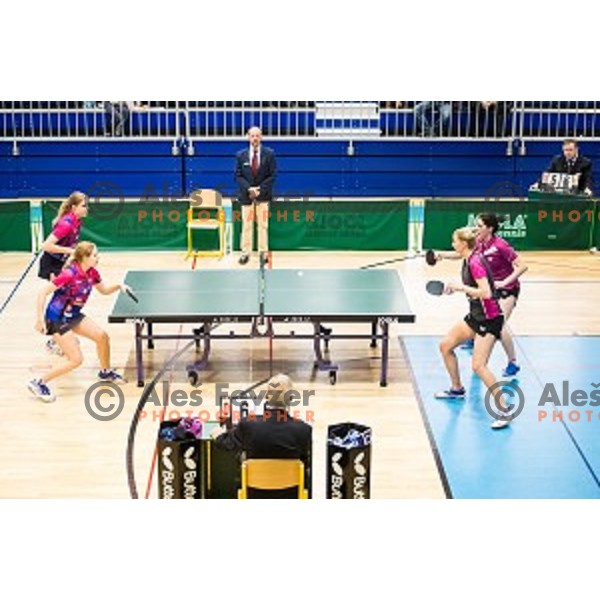 in action during tabel tennis match of National Championship 2015, Jesenice, Slovenia, on January 31, 2015