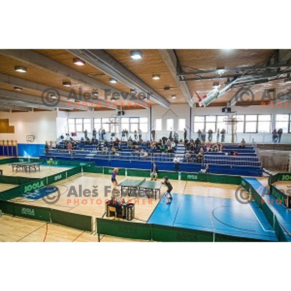 in action during tabel tennis match of National Championship 2015, Jesenice, Slovenia, on January 31, 2015