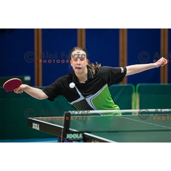 in action during tabel tennis match of National Championship 2015, Jesenice, Slovenia, on January 31, 2015