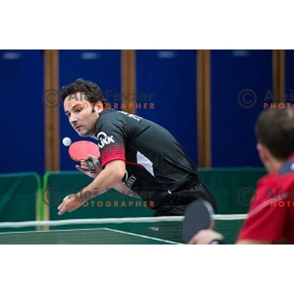 Bojan Tokic in action during tabel tennis match of National Championship 2015, Jesenice, Slovenia, on January 31, 2015
