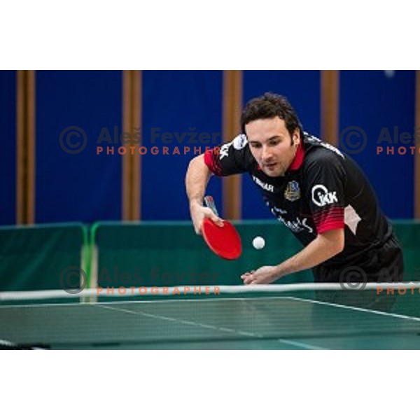 Bojan Tokic in action during tabel tennis match of National Championship 2015, Jesenice, Slovenia, on January 31, 2015