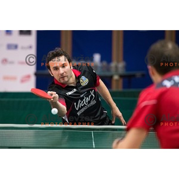 Bojan Tokic in action during tabel tennis match of National Championship 2015, Jesenice, Slovenia, on January 31, 2015