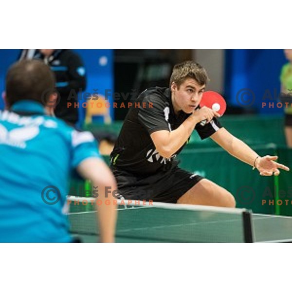 Darko Jorgic in action during tabel tennis match of National Championship 2015, Jesenice, Slovenia, on January 31, 2015