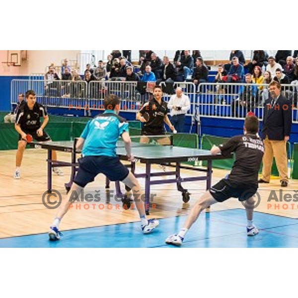 Action during tabel tennis match of National Championship 2015, Jesenice, Slovenia, on January 31, 2015