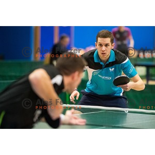 Jan Zibrat in action during tabel tennis match of National Championship 2015, Jesenice, Slovenia, on January 31, 2015