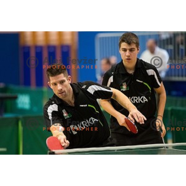 Darko Jorgic in action during tabel tennis match of National Championship 2015, Jesenice, Slovenia, on January 31, 2015